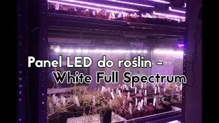 Panel LED do roślin - White full spectrum