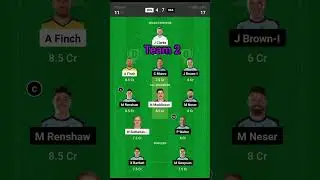 REN vs HEA Dream11 Prediction | Melbourne Renegades vs Brisbane Heat Dream11 Team | Big Bash League