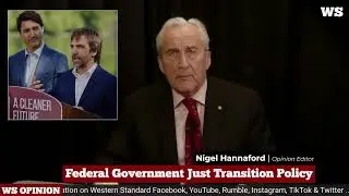 Federal government just transition policy