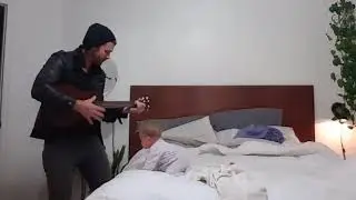 Dream Lover cover 