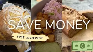 A WEEK WITHOUT BUYING FOOD | USE IT UP