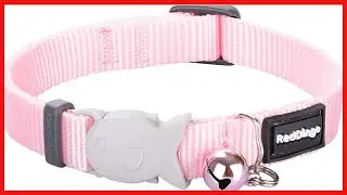 Red Dingo Classic Cat Collar, One Size Fits All