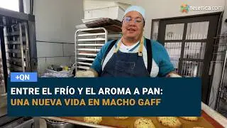 Entre el fr&iacute;o y el aroma a pan: una nueva vida en Macho Gaff