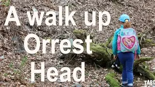 Walking Orrest Head, Windermere, The Lake District, a Wainwright Fell