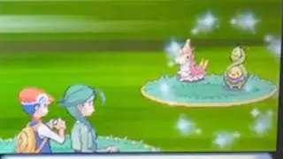 Live Shiny budew ✨🌷by eterna forest after only 2 days ??? REs that&rsquo;s so quick 🤣let&rsquo;s go !( BQ # 3)