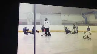 SLEDGE HOCKEY: DURHAM STEELHAWKS vs WOOLWICH THRASHERS
