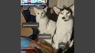 spicy white (feat. Your Stepdad)