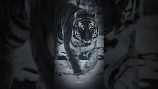 STOP WASTING Time Now Your Time Is Your Wealth #shorts