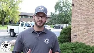 Bat Removal and Inspection by ABC Humane Wildlife Control & Prevention Inc