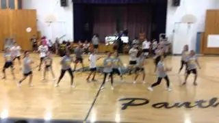 Hyde Park Panthers (we're all in this together)
