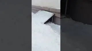 Позвала я Мурёну , но она не вышла.Корм и лоточек я  взяла с собой  - не стала оставлять .Примёрз бы