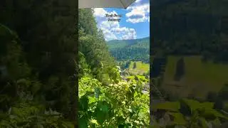 Black Forest !                   #travel #shorts #blackforest#nicetime #family #love