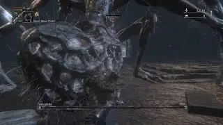 Bloodborne - Defiled Amygdala (BL4, No Damage)