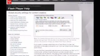 Why is my Flash player not working?