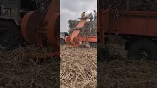sugarcane loading machine #agriculture #agri #farmer #shetkri #ऊस #us #farming #sugarcane
