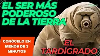 El ser más poderoso de la tierra. Conoce al asombroso Tardígrado. ¡No creerás! En menos de 3 minutos