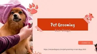Pet Grooming in San Diego
