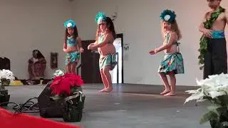 Hukilau - Hapahaole Hula