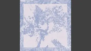 Image Version