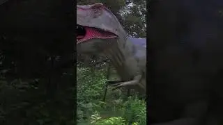 Charlie Meets Dinosaurs On Safari Adventure!