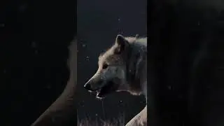 strange fats about wolves and life of wolf#information #animals #trendingshorts #love #nature