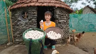 Harvest 1000 Chicken and Duck Eggs Goes To The Market Sell - Green Forest Farm, Free Bushcaft