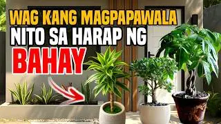 ITO PALA ANG MGA HALAMANG PANGTABOY NG NEGATIBONG ENERGY SA PINTO!