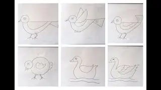 How to draw different types bird // easy bird drawing step by step