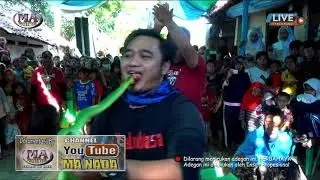 ATRAKSI ULAR KING COBRA - MA NADA