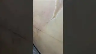 Mexican Onyx Marble | Marble | Italian Imported Marble by Rynestone