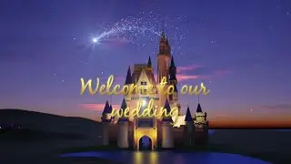 魔法にかかったような煌びやかな演出♪プリンセス風結婚式オープニングムービー│PIARY(ピアリー)