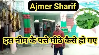 Ajmer Sharif men Mitha neem karamat अजमेर शरीफ में नीम के पत्ते मीठे कैसे होगये TARAGADH तारागढ़