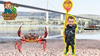INSANE Catch! Crabs Found At The Beach Scotland #kidsadventure #beachcombing #hugecrab #rockpools