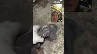 Суппорт Тойота Прадо 120 ￼+77006891915