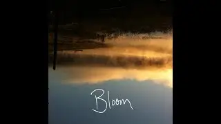 JT Roach - Bloom