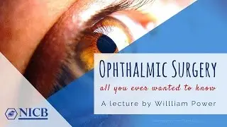 Biomedical Lecture: Ophthalmic Surgery &ndash; All You Ever Wanted to Know