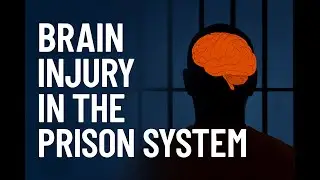 Brain Injury in the Prison System: The Overlooked Crisis Behind Bars