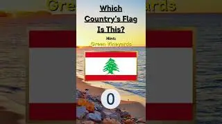 Guess The Flags In The World #quiz #guesstheflag #travel #guessthecountry #motivation #nametheflag