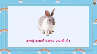 मनपर्ने जनावरको बारेमा निबन्ध // Essay on favourite animal //  Essay on rabbit  // #kidsvideo