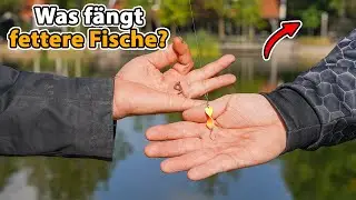 Erstaunlich: Plumsangeln am Forellenteich wie fr&uuml;her!