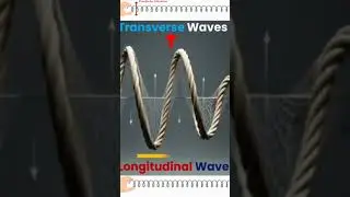 Transverse and Longitudinal Wave