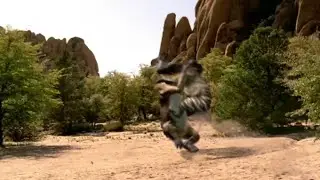 Chalicothere Being Ambushed