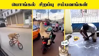Cat And Dog Funny😂 Dubbing Video Clip || 2026 Tamil 💥 #funnydubbing #catcomedy #dogfunny #comedy