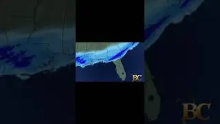 Fluffy Snow Falls on Florida Palms in Rare Weather Event