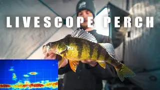 ЛОВЛЯ ОКУНЯ С ПОМОЩЬЮ LIVESCOPE!!!