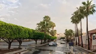جولة الأربعاء 28 يناير، 2026 الطائف عروس المصائف 💐#الطائف #اكسبلور #سياحة #تصويري 