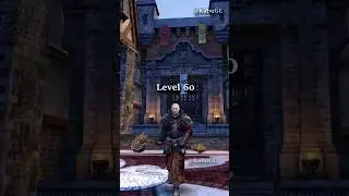 Warhammer Online Human Level 1 to 80 Warrior Priest 2024 #mmo #warhammer #mmorpg #warhammerfantasy