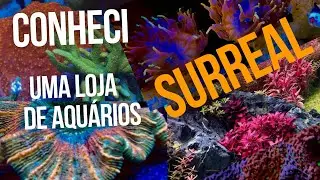 SURREAL - LOJA DE AQUÁRIOS TOTALMENTE DIFERENTE