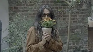 Jess Ribeiro - Maybe If I Wore Sunglasses Inside I Won't Feel Tired - TOUTPARTOUT sessions