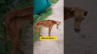 पोलियो मार दिया है #comedy #funny #thetharpuns #shilpisaroja